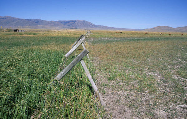 00000-02112 Fenceline contrast from overgrazing Red Rock River Centennial Valley Montana George Wuerthner-2625