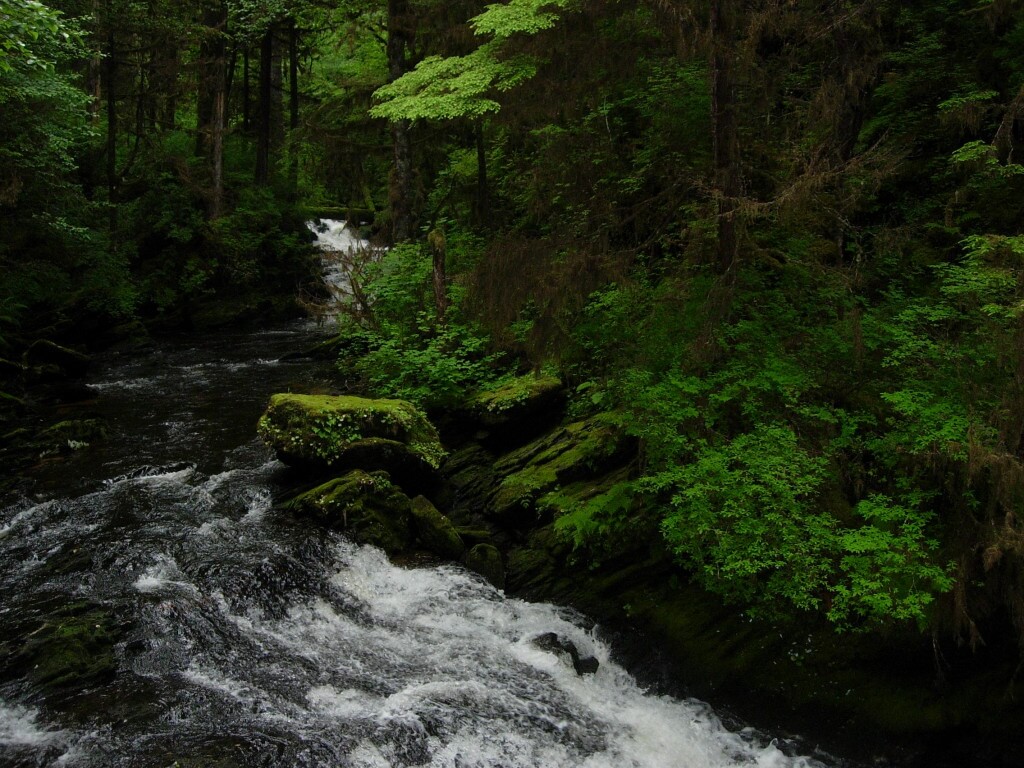 Tongass_National_Forest_3