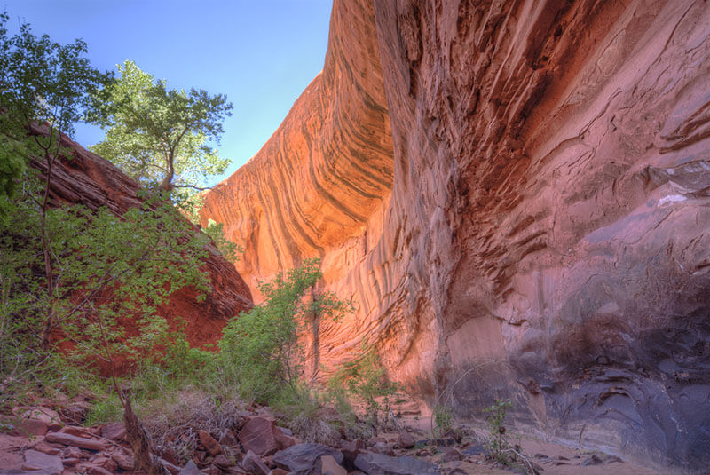 Conservation Groups File Lawsuit Over Trump’s Illegal Action to Reduce Grand Staircase-Escalante Nat’l Monument