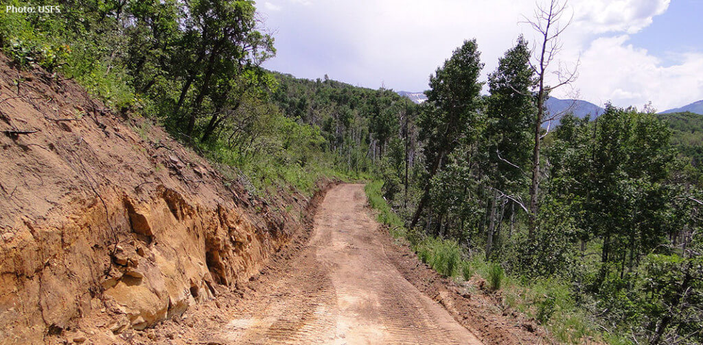 Newly made road in a national forest for coal mining