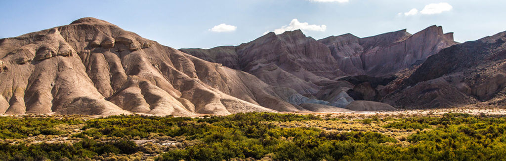 image of the Mojave desert