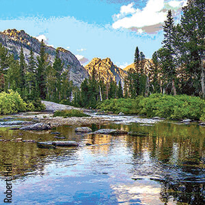 A scenic view of a stream with trees and mountains in the background