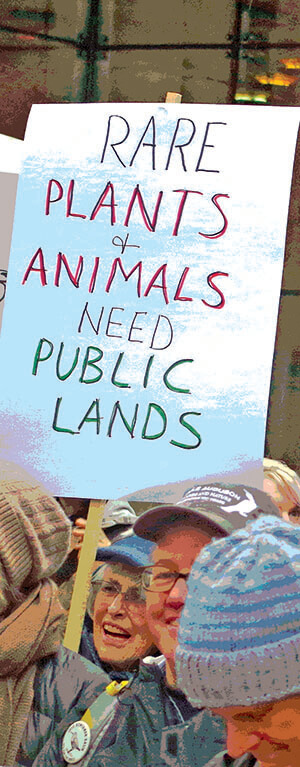 A woman holding up a sign "Rare plants and animals need public lands"