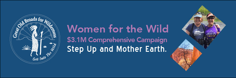 CampaignWebsiteHeader4.23.20-1