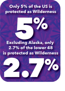 Currently, only 5% of the US is protected as Wilderness—and excluding the vast wilderness areas in Alaska, only 2.7% of the lower 48 is protected as Wilderness.