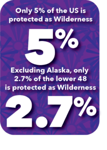 5percentwilderness2 Currently, only 5% of the US is protected as Wilderness—and excluding the vast wilderness areas in Alaska, only 2.7% of the lower 48 is protected as Wilderness.