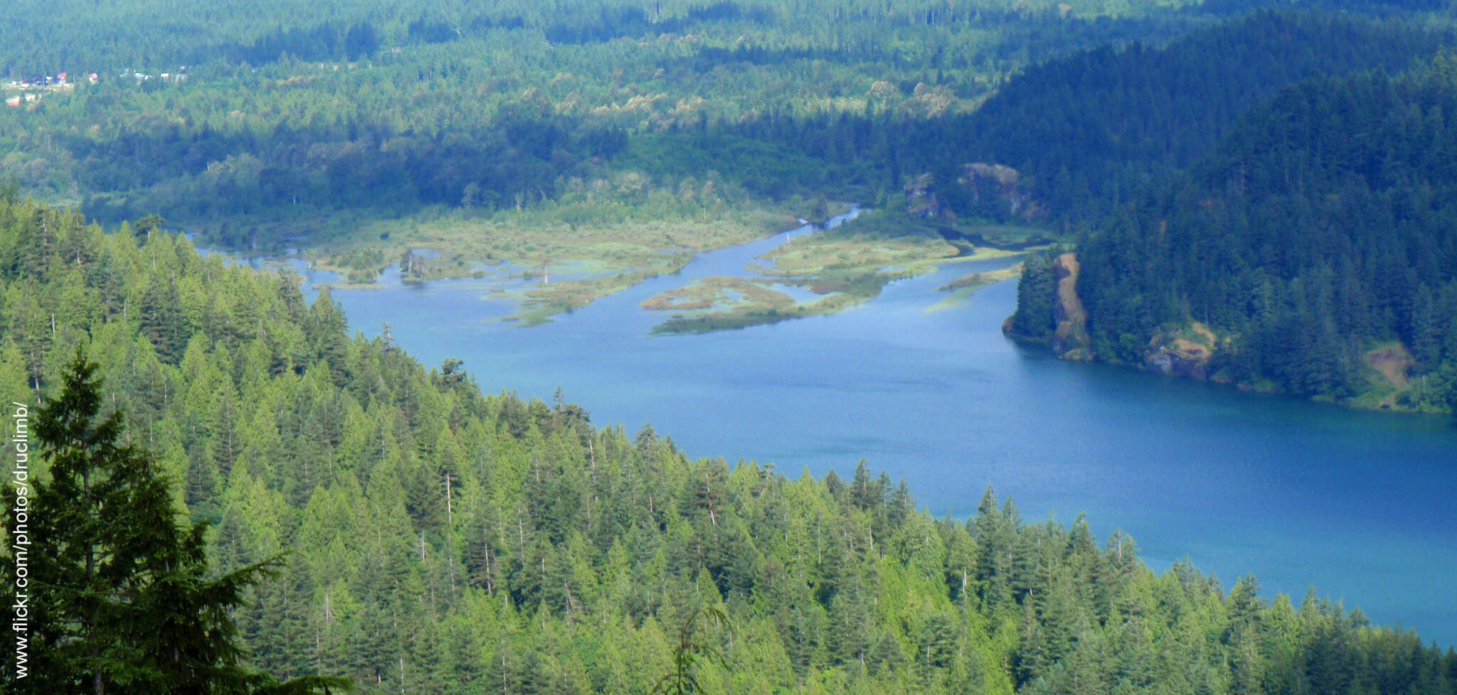 Chehalis River Basin image