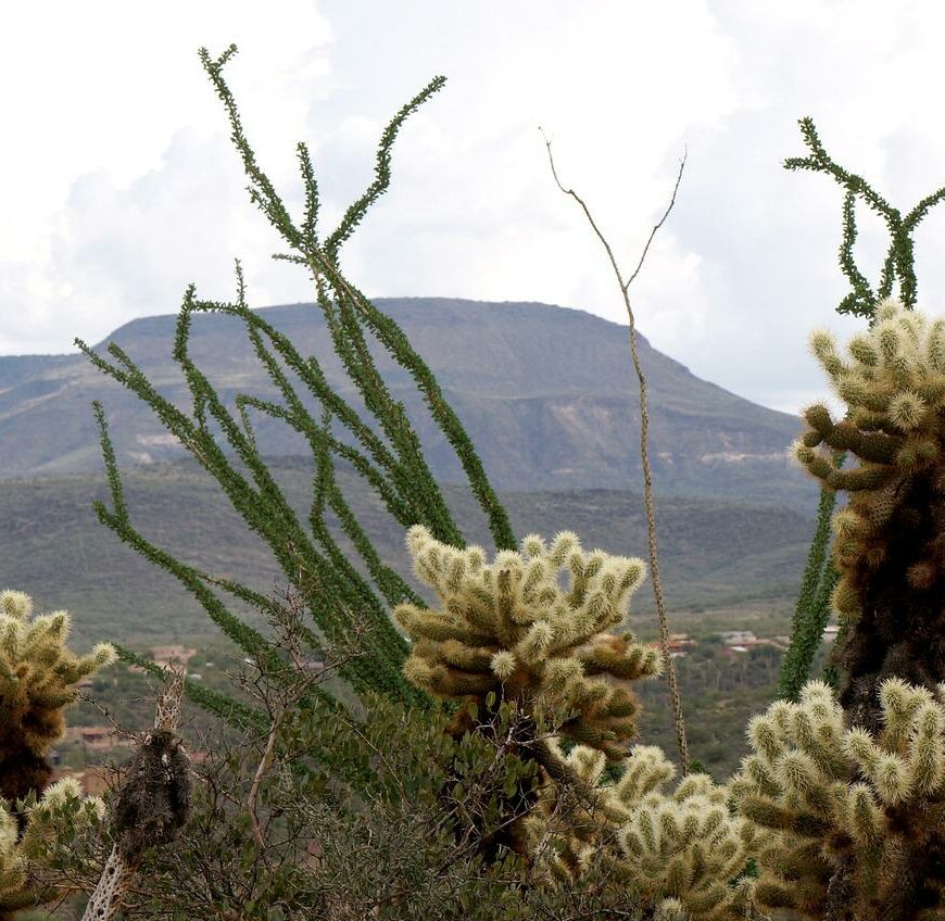 desert-g558608b62_1280