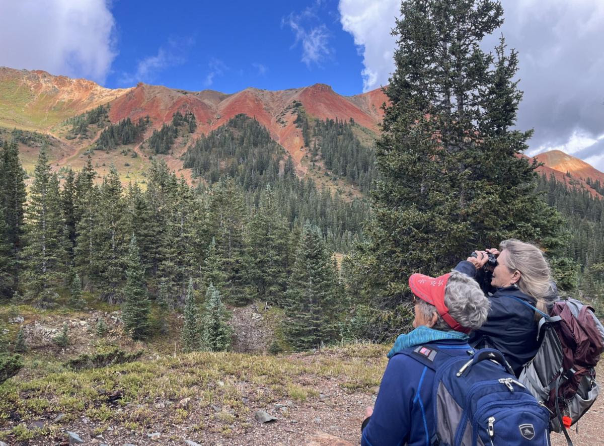 Northern San Juan Broadband’s Bighorn Sheep Monitoring Efforts Featured in Podcast